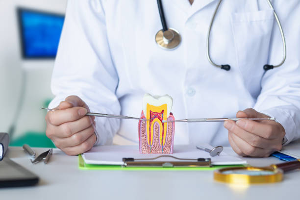 Best Emergency Treatment for Toothache in Pine Ridge, PA